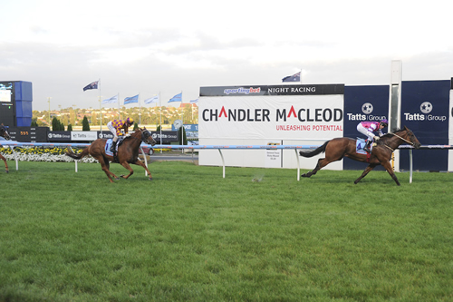 LOVEYAMADLY BRILLIANT AT MOONEE VALLEY..